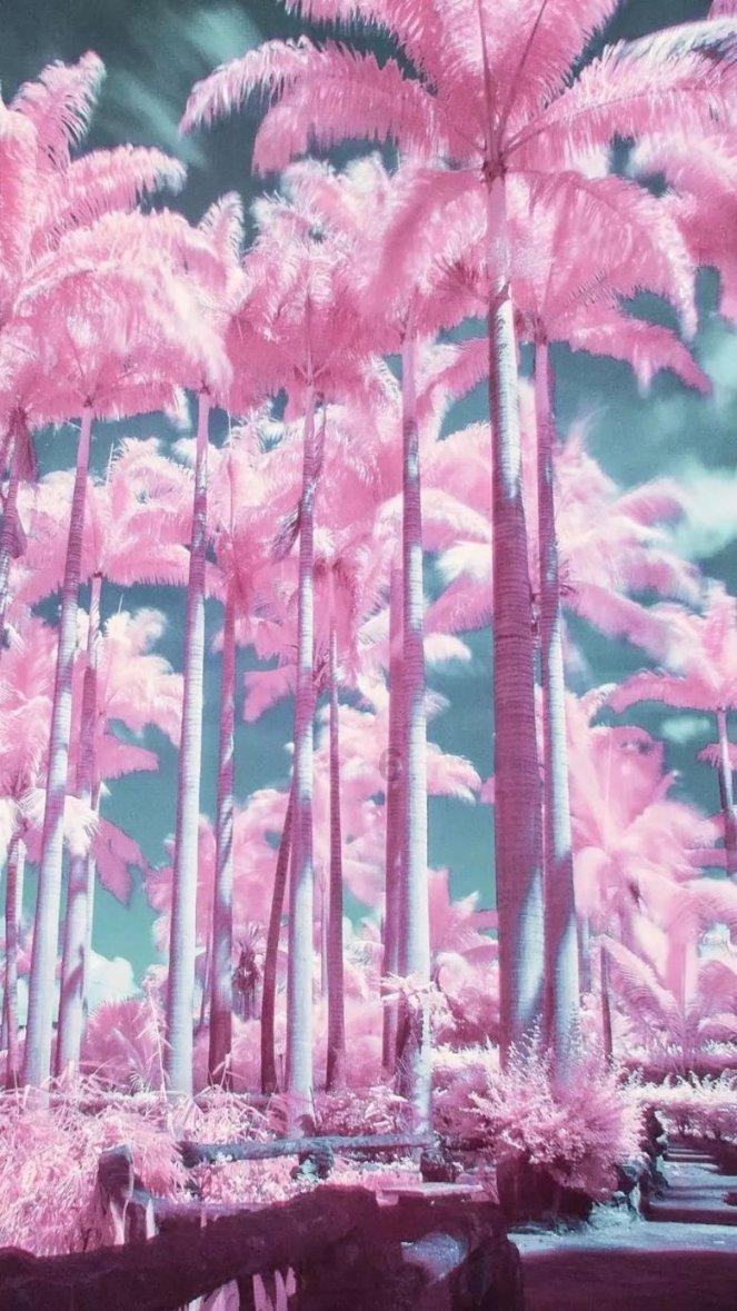 混乱特工
